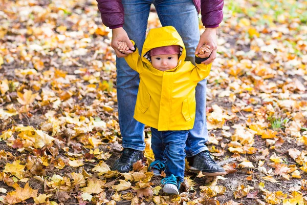 Familia joven para dar un paseo en el parque de otoño con el bebé — Foto de Stock