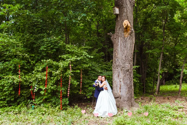 Sposa e sposo in un parco il giorno del loro matrimonio — Foto Stock