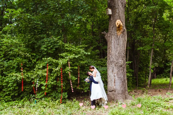 Noiva e noivo em um parque no dia do casamento — Fotografia de Stock