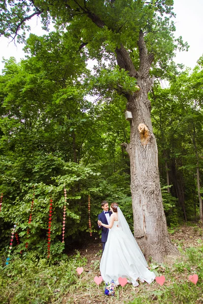 Наречений і наречений в парку на їх день весілля — стокове фото