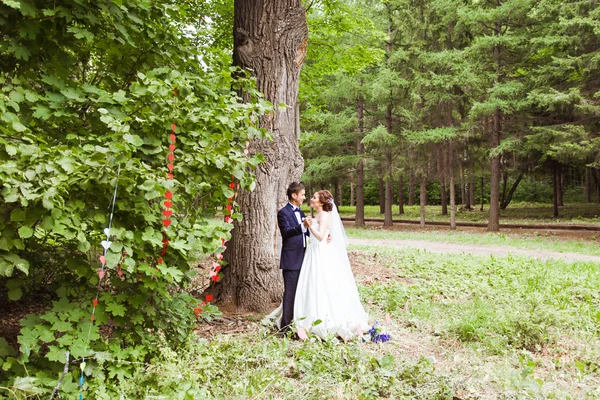 Novia y novio en un parque el día de su boda —  Fotos de Stock
