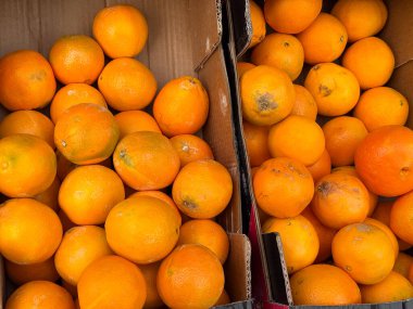 Markette içi portakal dolu kutular. Taze ürün, meyve bolluğu, vitamin kaynağı ve sağlıklı yaşam temaları için narenciye hasadı.