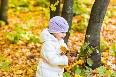 küçük kız sarı yaprak.