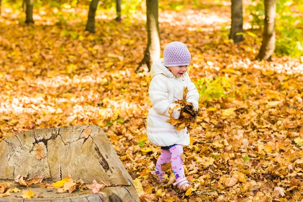 Niña con hoja amarilla . —  Fotos de Stock