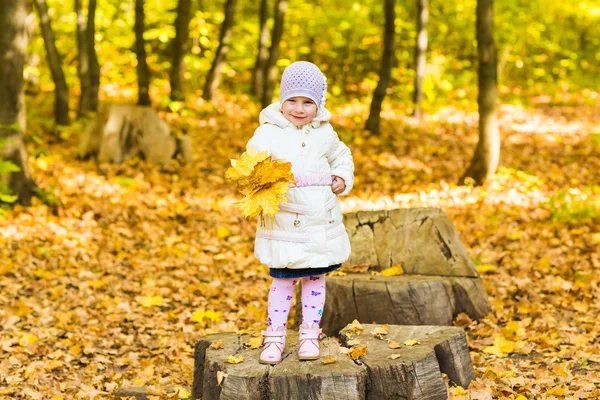 Liten flicka med gula blad. — Stockfoto