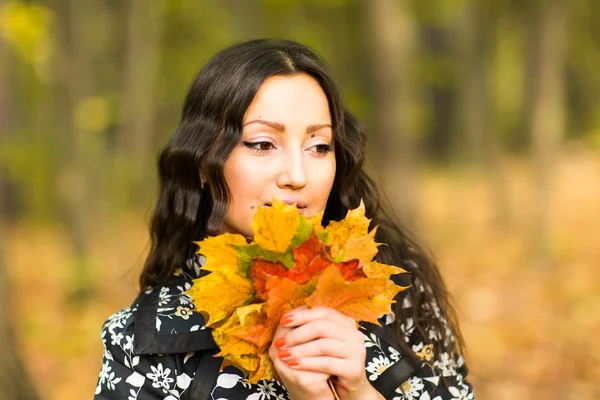 Menina bonito segurando nas mãos folhas de bordo amarelo — Fotografia de Stock