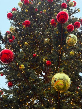 Kırmızı ve altın süslemeli Noel ağacı dallarını kapatın. Şenlikli kış dekoru, mevsimsel detaylar ve kentsel alanda tatil atmosferi.