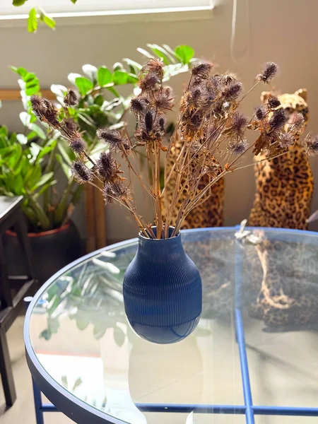 Cam masadaki mavi vazoda kurumuş devedikeni buketi. Minimalist iç kompozisyon, doğal doku ve organik ve modern dekoratif elementlerin ahengi