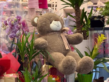Hediyelik eşya dükkanında orkidelerin ve dekoratif bitkilerin arasında oturan büyük bir oyuncak ayı. Romantik gösteri, çiçek dekoru ve peluş oyuncak sunumu..