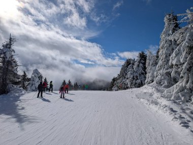 Karlı ağaçlar ve bulutlar arasında kayakçıların indiği geniş bir kayak yamacı. Aktif kış sporu, dağ enerjisi ve hız, yön ve açık alp alanı yoluyla açık hava eğlencesi.