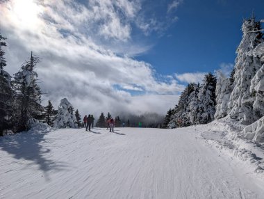 Karlı yamaçlarda, dramatik gökyüzü ve bulutların altında duran kayakçılar. Grup aktivitesi, kış tatili ve hareketli, manzaralı ve mevsimsel dağ sporlarıyla sosyal boş zaman.