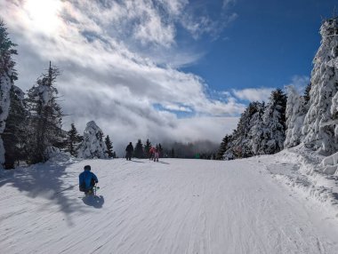 Karlı ağaçlar ve bulutlar arasında kayakçıların indiği geniş bir kayak yamacı. Aktif kış sporu, dağ enerjisi ve hız, yön ve açık alp alanı yoluyla açık hava eğlencesi.