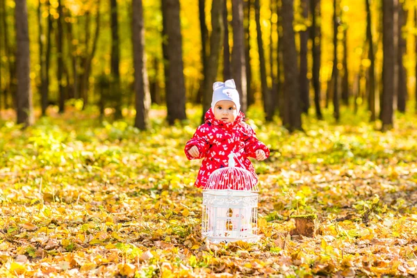 Linda niña en el bosque de otoño —  Fotos de Stock