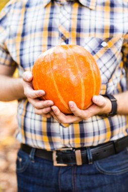 Gülümseyen adam bir parkta kabak taşıyan