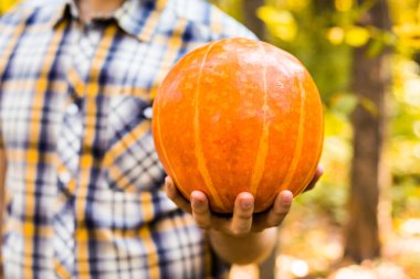 Gülümseyen adam bir parkta kabak taşıyan