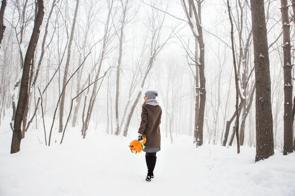 Jovem mulher atraente no inverno — Fotografia de Stock