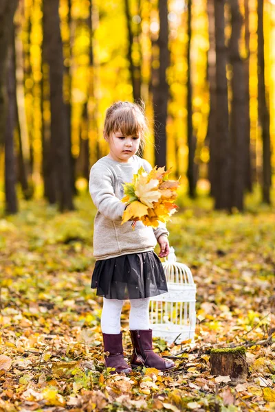 Baby flicka i skogen höst — Stockfoto