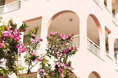 zakkum apartman kompleksi bir arka plan üzerinde