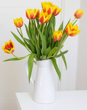 Sarı ve kırmızı laleler yumuşak doğal ışıkta. Doğa, güzellik ve bahar kavramı.