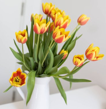 Sarı ve kırmızı laleler yumuşak doğal ışıkta. Doğa, güzellik ve bahar kavramı.