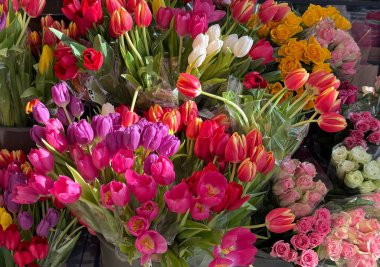 Çiçekçi dükkanında sergilenen renkli lale buketleri ve güller. Kutlama, romantizm, bahar festivali atmosferi ve çiçek dekorasyonu konsepti