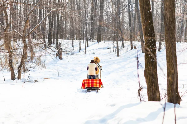 Hombre con trineo tirado por caballos al aire libre en invierno — Foto de Stock