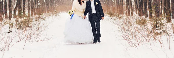 Mariée et marié dans les bois d'hiver — Photo