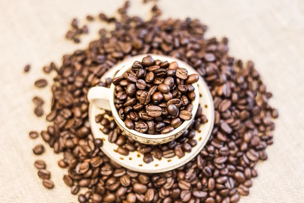 Жареные кофейные зерна с чашкой — стоковое фото