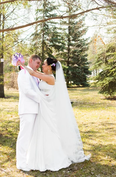 Wedding couple hugging — Stock Photo, Image