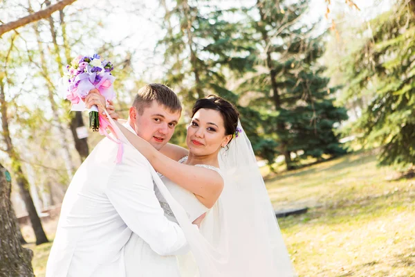 Wedding couple hugging Royalty Free Stock Images