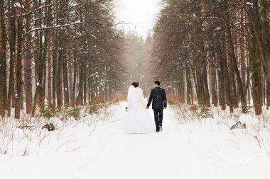 Gelin ve damat kış ormanda