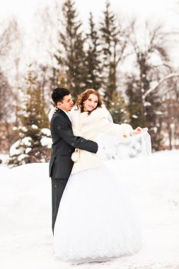 Gelin ve damat kış parkta