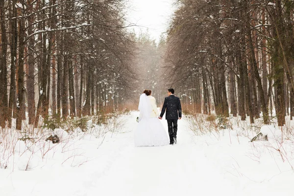 Sposa e sposo nei boschi invernali — Foto Stock