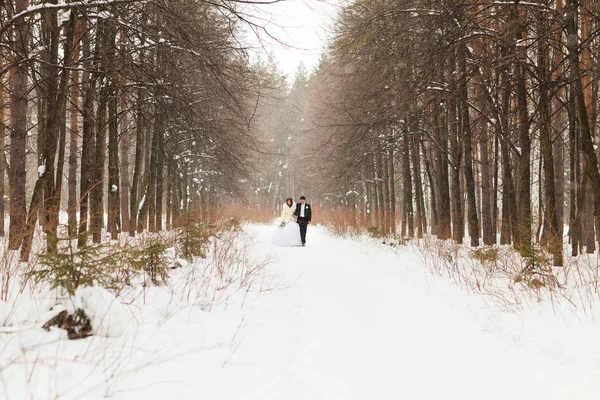 Brautpaar im Winterwald — Stockfoto