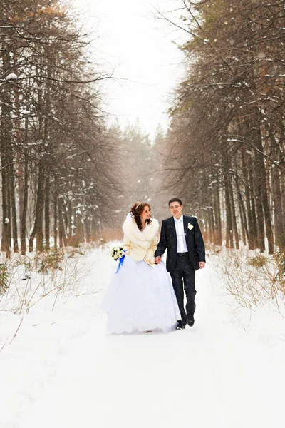 Brautpaar im Winterwald — Stockfoto