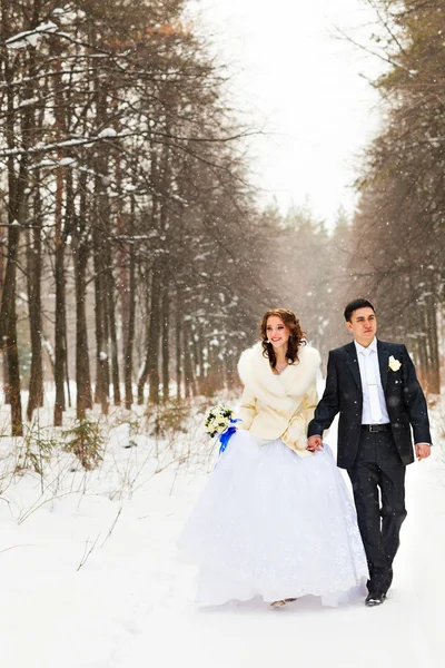 Mariée et marié dans les bois d'hiver — Photo