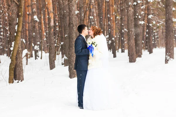 Menyasszony és a vőlegény a téli erdőben csók — Stock Fotó