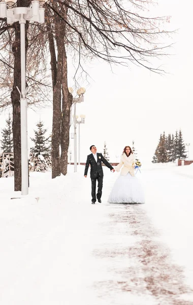 Mariée et marié dans le parc d'hiver — Photo