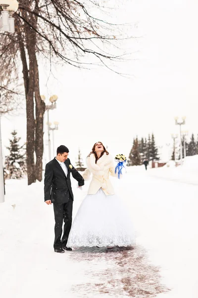 Наречений і наречений в зимовому парку — стокове фото