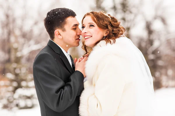 Noiva e noivo beijando nos bosques de inverno — Fotografia de Stock