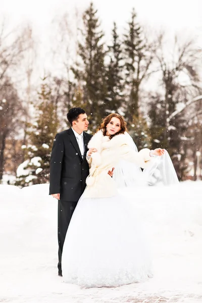 Noiva e noivo no parque de inverno — Fotografia de Stock