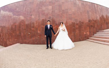 Genç Düğün çifti birlikte parkta yürüyüş