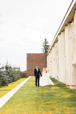 Genç Düğün çifti birlikte parkta yürüyüş