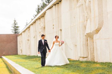 Genç Düğün çifti birlikte parkta yürüyüş