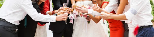 Convidados batendo copos na festa de casamento — Fotografia de Stock