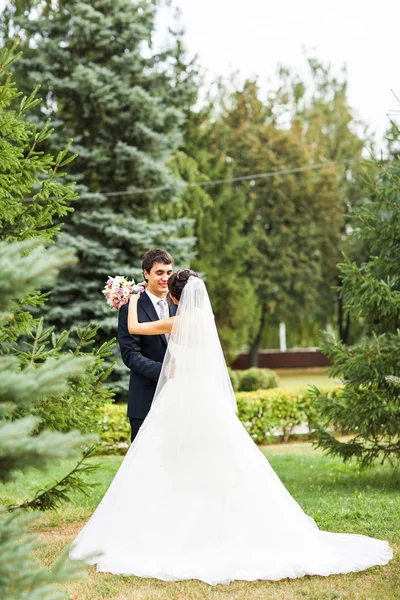 Novia y novio besándose en el parque — Foto de Stock