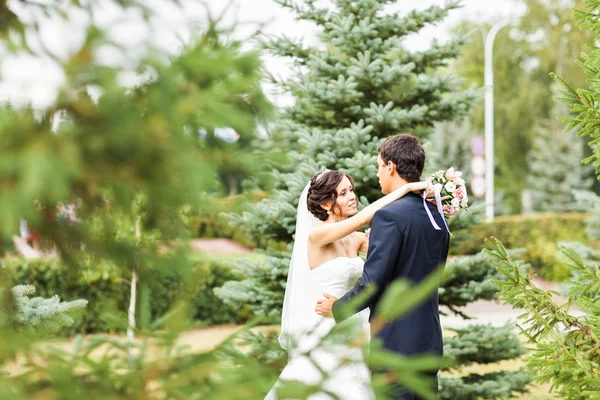 Joven pareja de boda caminando juntos en el parque —  Fotos de Stock