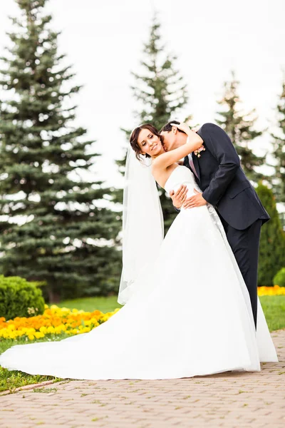 Noiva e noivo beijando no parque — Fotografia de Stock