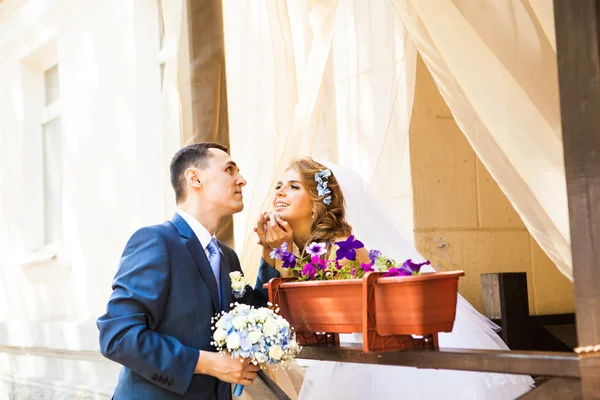 Casal bonito no café. Ternura pura — Fotografia de Stock