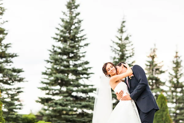 O noivo e a noiva num parque. Vestido de noiva. Bouquet nupcial de flores — Fotografia de Stock